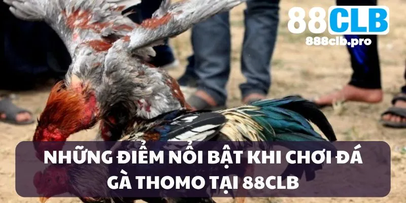 Điểm nổi bật của sảnh