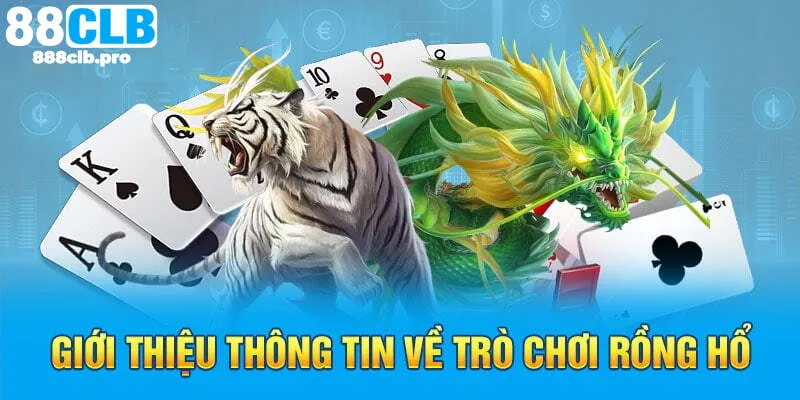 Giới thiệu rồng hổ 88CLB